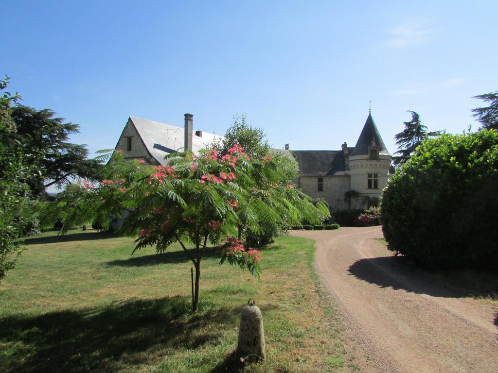 Chateau De La Roche Martel Bed and Breakfast Roiffé Zewnętrze zdjęcie